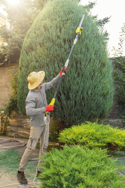 Best Lawn Watering Services  in Johnson Creek, WI